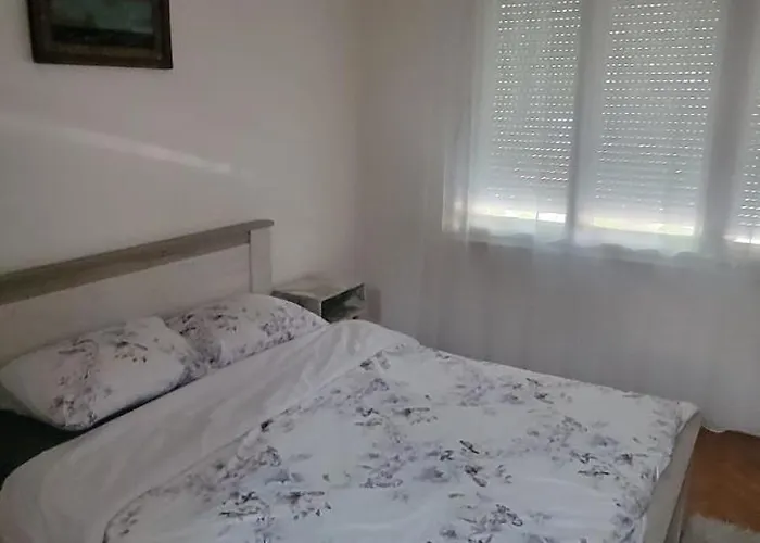 Kraljevo-ceo Stan,privatan Parking Lejlighed Kraljevo